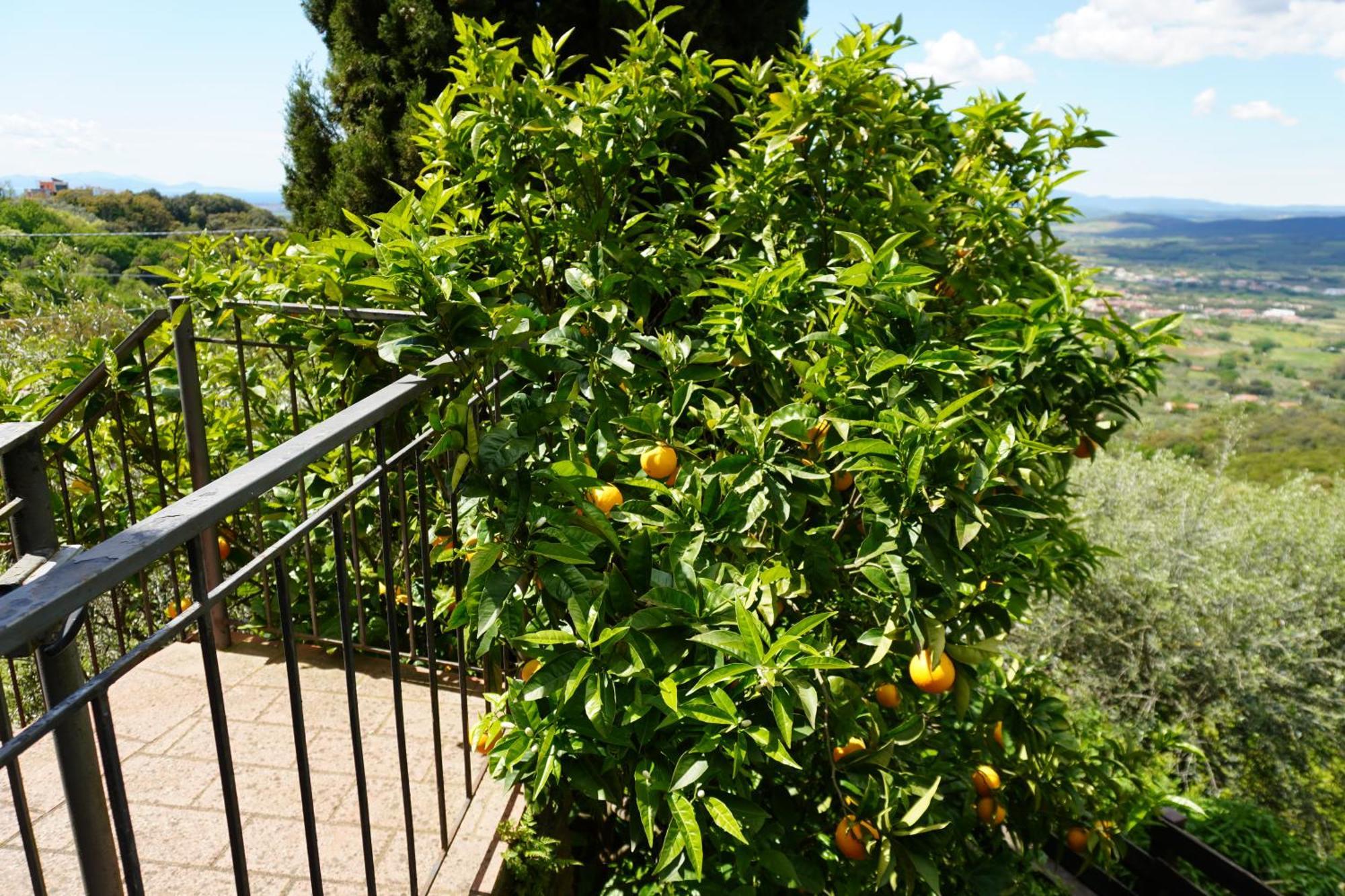Casa Limone Holiday home